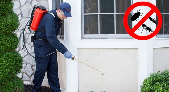 Karşıyaka Gümüşkurt İlaçlama böcek ilaçlama ve haşere kontrolü — ilaclama-tr.com